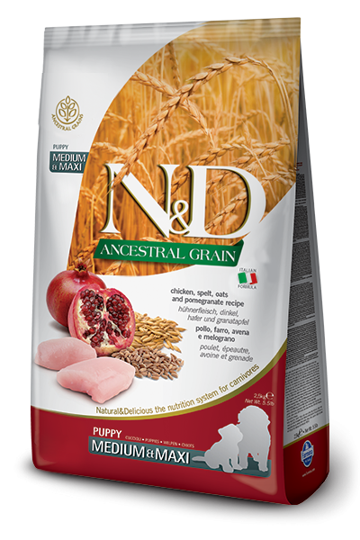 N&D Cane Ancestral Pollo E Melograno Puppy Medio Maxi 12 Kg