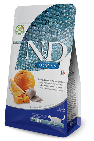 N&D Gatto Ocean Zucca Aringa E Arancia 5 Kg