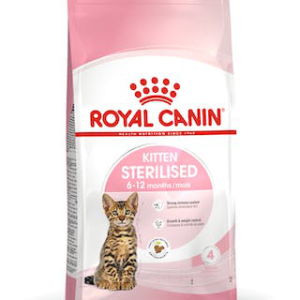 Royal Canin Gatto Kitten Sterilized 2 Kg