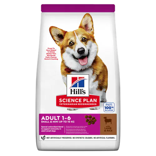 Hills Cane Adult Small & Mini Agnello 300 Gr