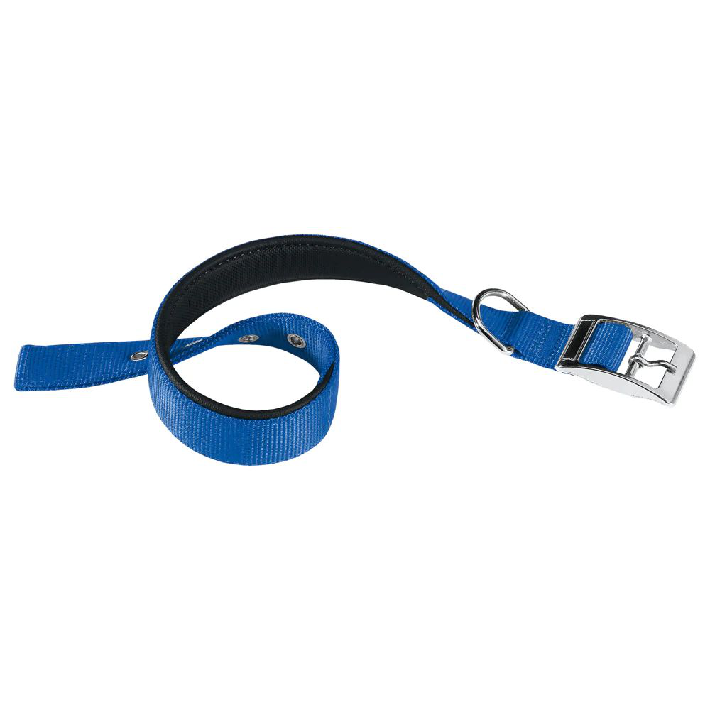 Daytona Collare 25/53 Blu
