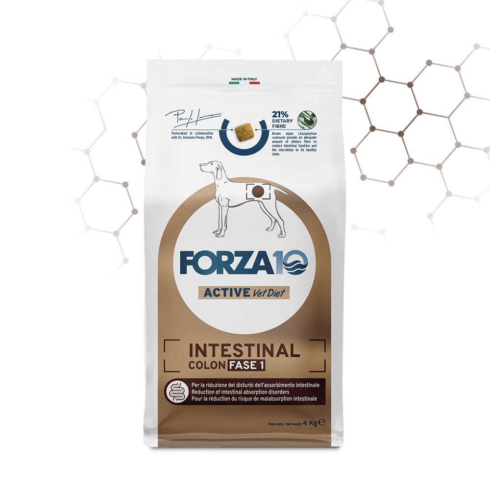 Forza 10 Intestinal Colon Fase I Active 4 Kg