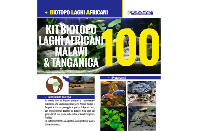 (KITBIOMALAWI100) KIT ARREDO BIOTOPO LAGHI AFRICANI MALAWI & TANGANICA 100