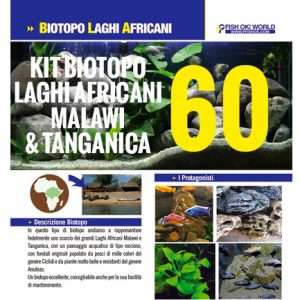 (KITBIOMALAWI60) KIT BIOTOPO LAGHI AFRICANI MALAWI & TANGANICA 60