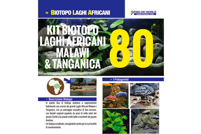 (KITBIOMALAWI80) KIT ARREDO BIOTOPO LAGHI AFRICANI MALAWI & TANGANICA 80
