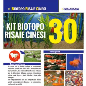 (KITBIORISAIE30) KIT ARREDO BIOTOPO RISAIE CINESI NANO ACQUARI