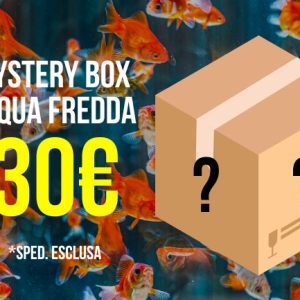 (MBAF30) Mystery Box Acqua Fredda 30€
