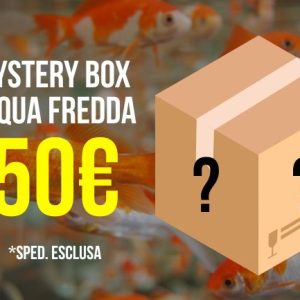 (MBAF50) Mystery Box Acqua Fredda 50€