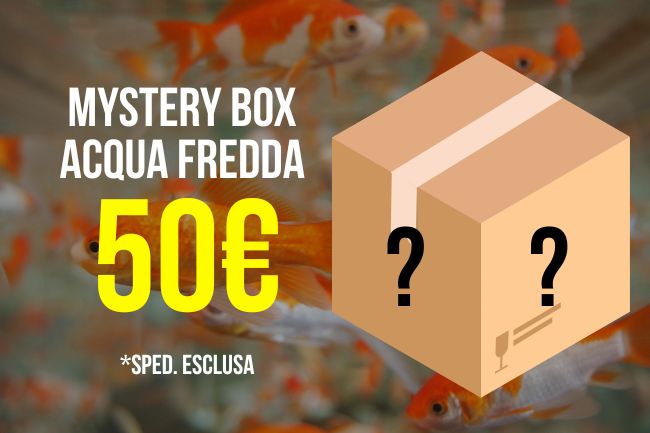 (MBAF50) Mystery Box Acqua Fredda 50€